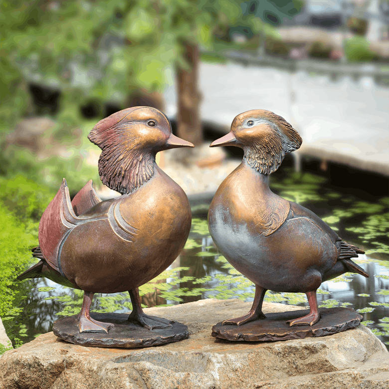 Bronzemandarin - Erpel und Ente