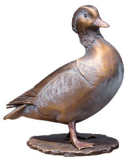 Bronzemandarin - Ente