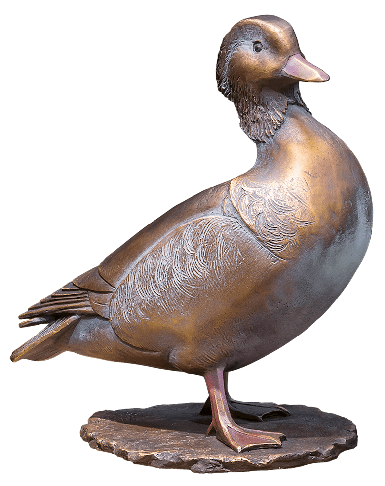 Bronzemandarin - Ente