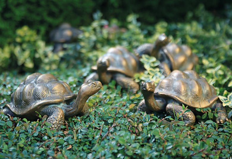 Bronzefigur Schildkröte von Atelier Strassacker