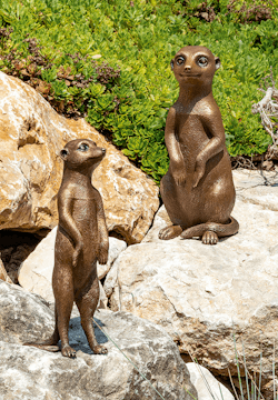 Bronzefigur «Erdmännchenjunges» aus dem Atelier Strassacker